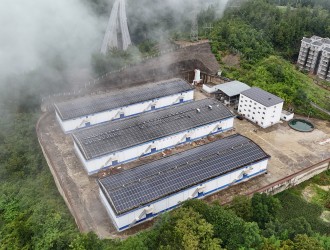 綠色賦能 讓好糧住進好“房”